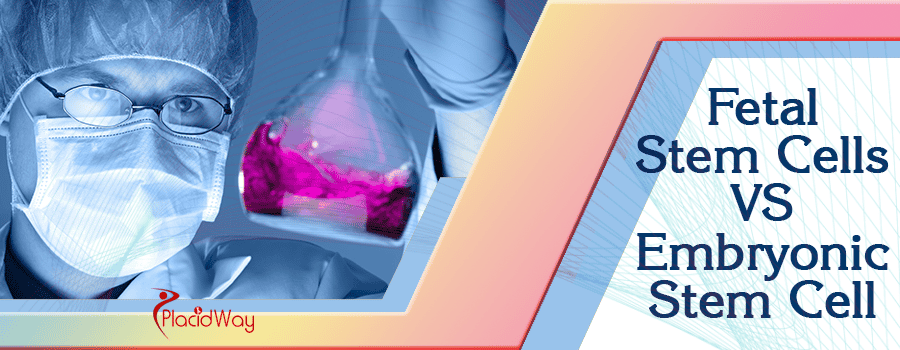 Fetal stem cells vs embryonic stem cell